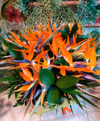 Floristería Cristiaran Vitoria Regalar Ramos de flores en Vitoria